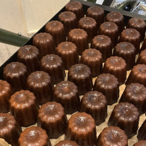 陳男可麗露出爐